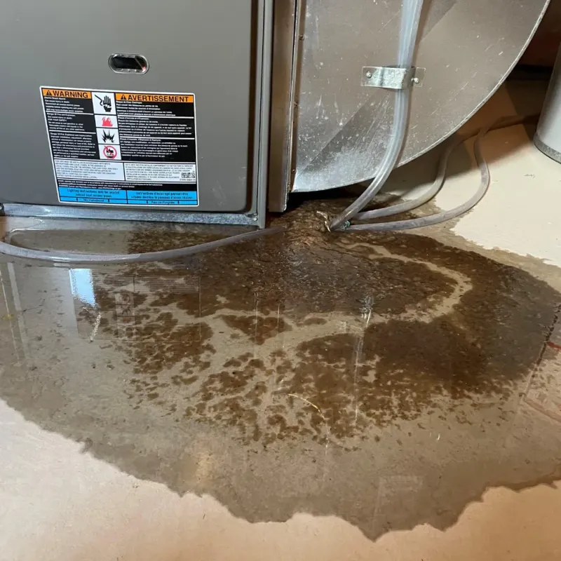 Appliance Leak Cleanup in Sheldon, TX