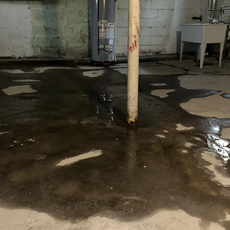 Emergency Water Extraction And Removal in Sheldon, TX